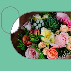 Flower Boxes
