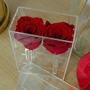 Plexi Box Με 2 Τριαντάφυλλα