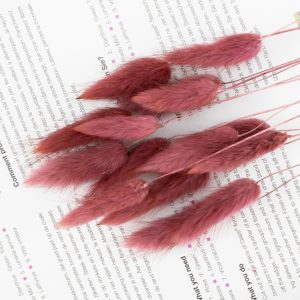 Bunny Tails Redwood Coffee