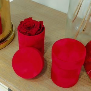 Red Velvet Rose Box
