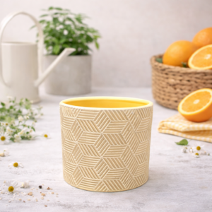 Solid Grey Yellow | Diosera