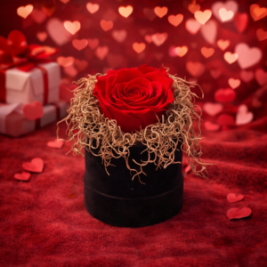 1 Forever Roses | Βελούδινο Κουτί